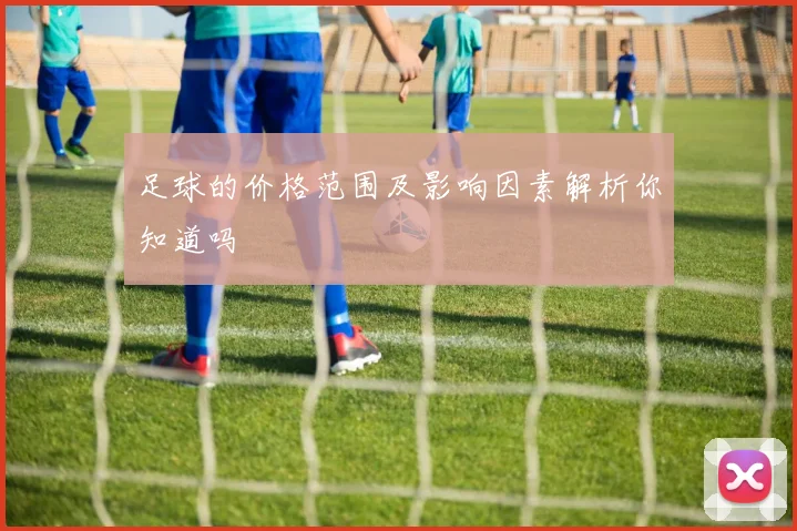 足球的价格范围及影响因素解析你知道吗