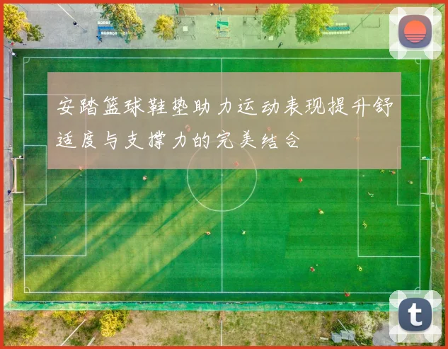 安踏篮球鞋垫助力运动表现提升舒适度与支撑力的完美结合